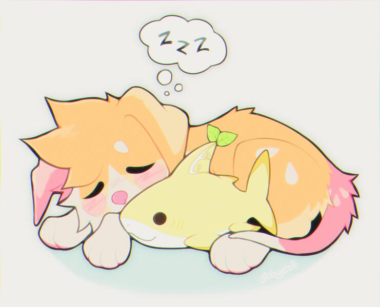 owed for corgisundae owed for corgisundae