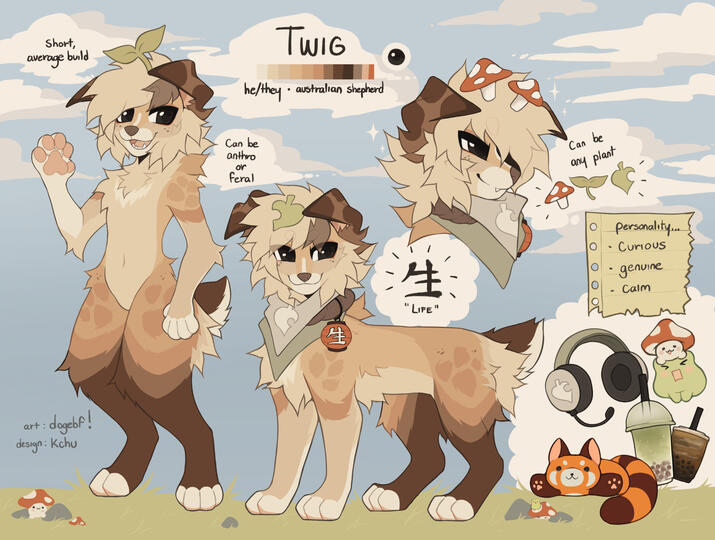 owed for meows owed for meows
